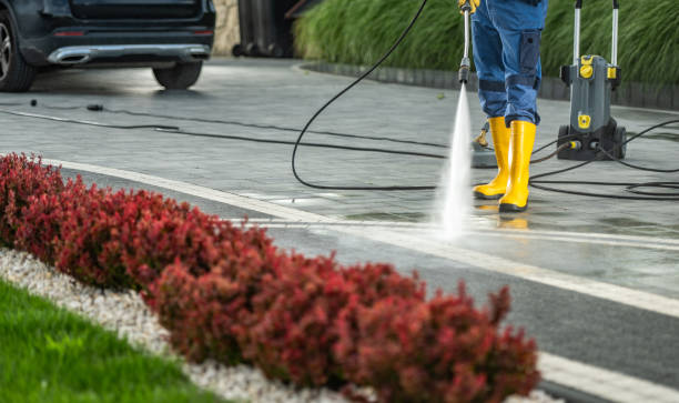 Best Dumpster Area Cleaning  in Garden City Park, NY